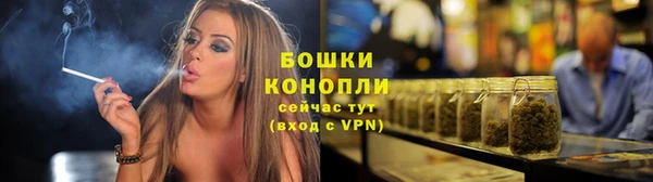 прущие крисы Белокуриха