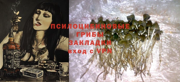 прущие крисы Белокуриха