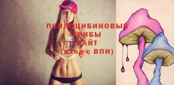 прущие крисы Белокуриха