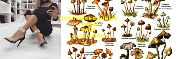 мдпв Белоозёрский