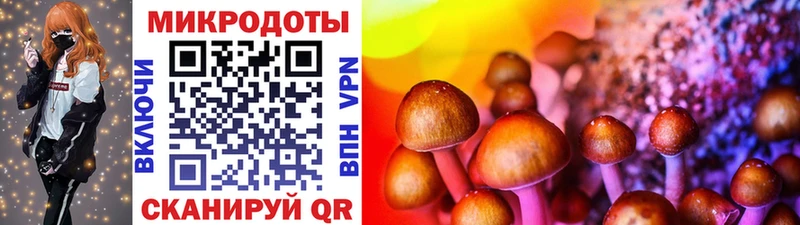 Псилоцибиновые грибы мицелий  Волосово 